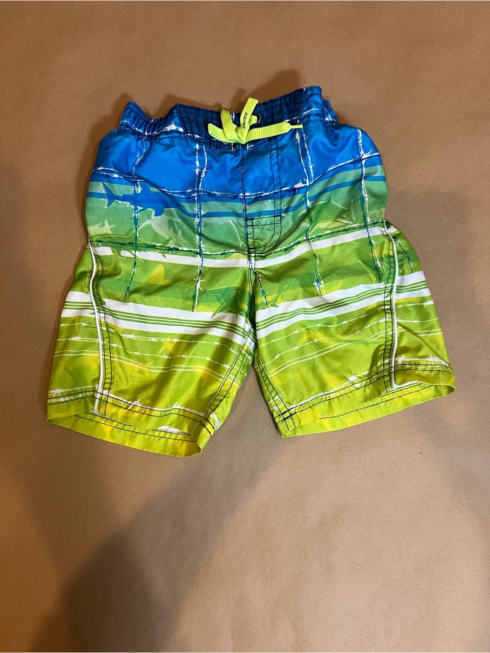ZeroXposur Blue and Green Striped Swim Shorts